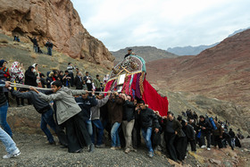 بالابردن نخل از کوه در روز تاسوعا - ابیانه